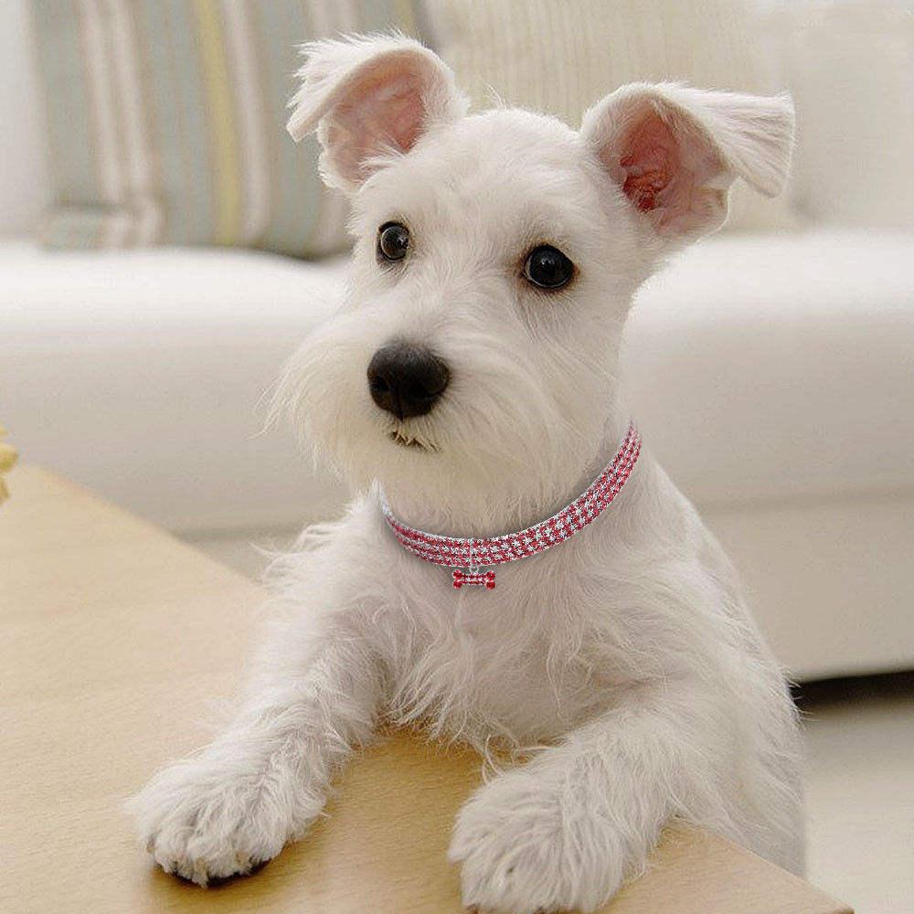 Hot Sale Pet Collars Necklace Full Cubic Zirconia Crystal Choker Necklace With Heart Charm Jewelry For Dog