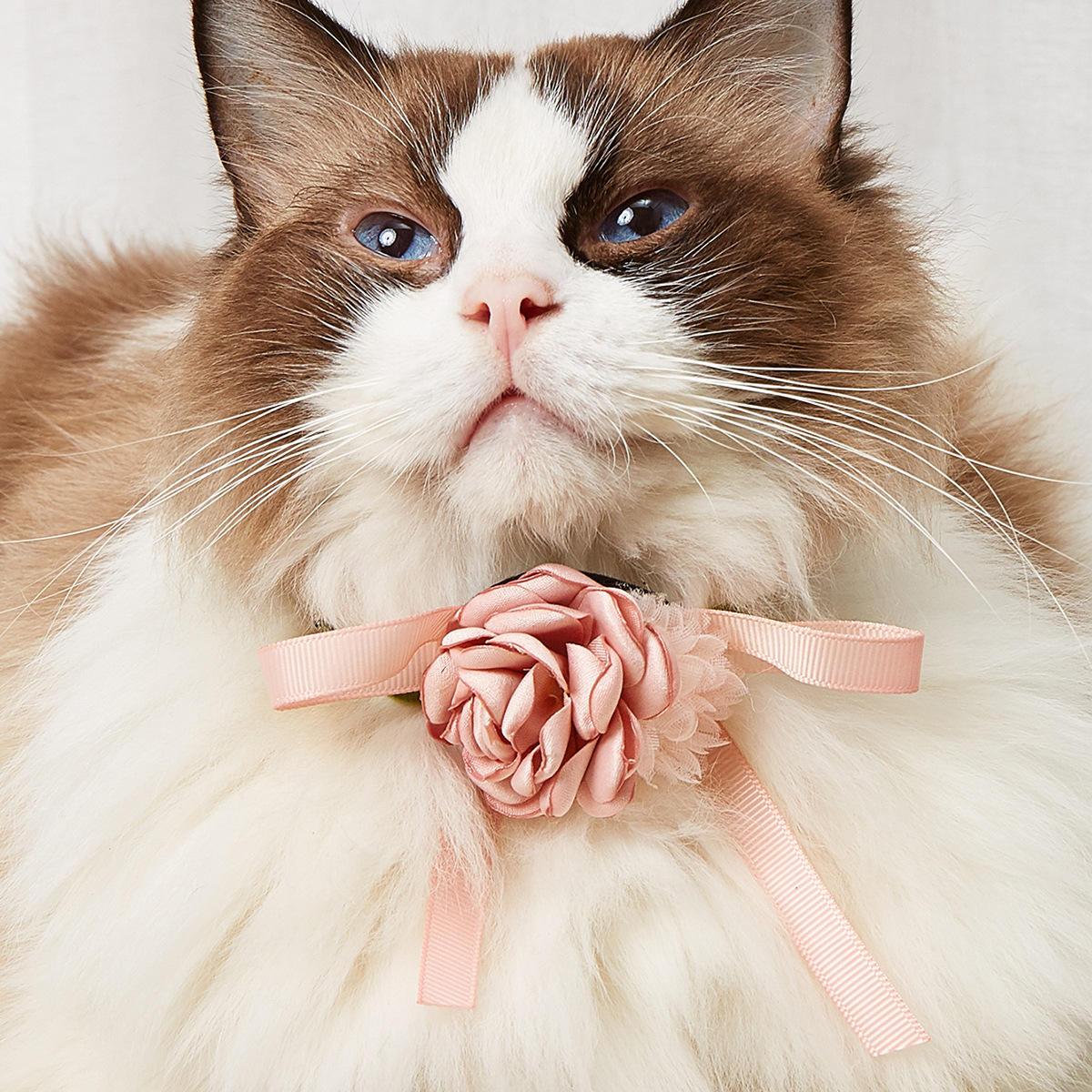 Factory Direct Sale Pet Flower Shape Neck Collar Fashion Led Pet Collar