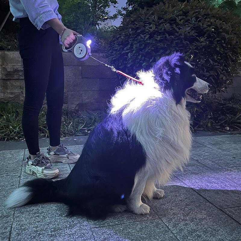 2023 New Style Wholesale High Quality Customized Led Retractable Dog Leash