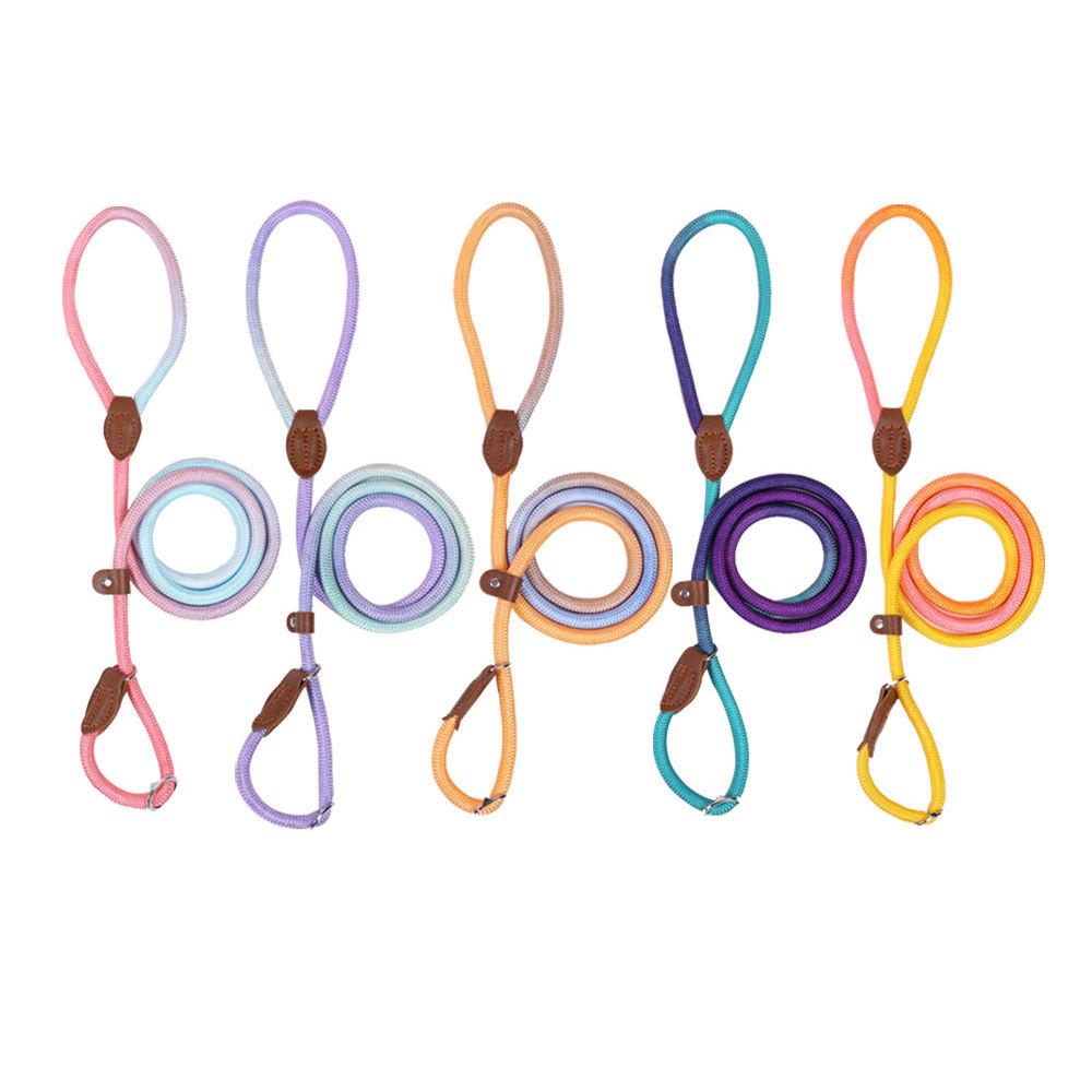 Colored Explosion-proof Punch Nylon Adjustable Pet Custom Dog Rope Dog Collar And Leash Set