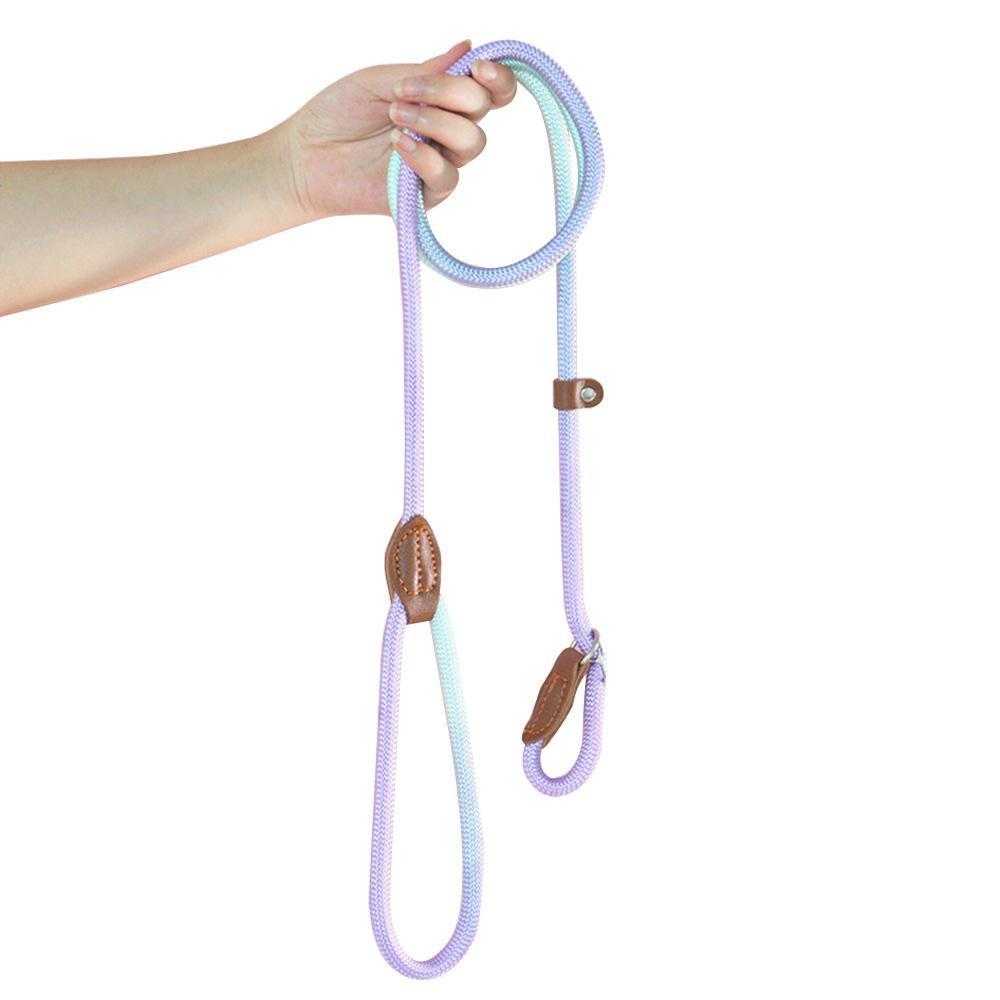 Colored Explosion-proof Punch Nylon Adjustable Pet Custom Dog Rope Dog Collar And Leash Set