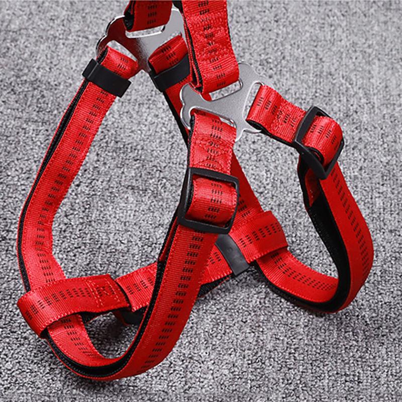 In Stock Nylon Pet Leash Back Card Package Wholesale Dog Harness Pet Supplier Pet Leash And Harness Set