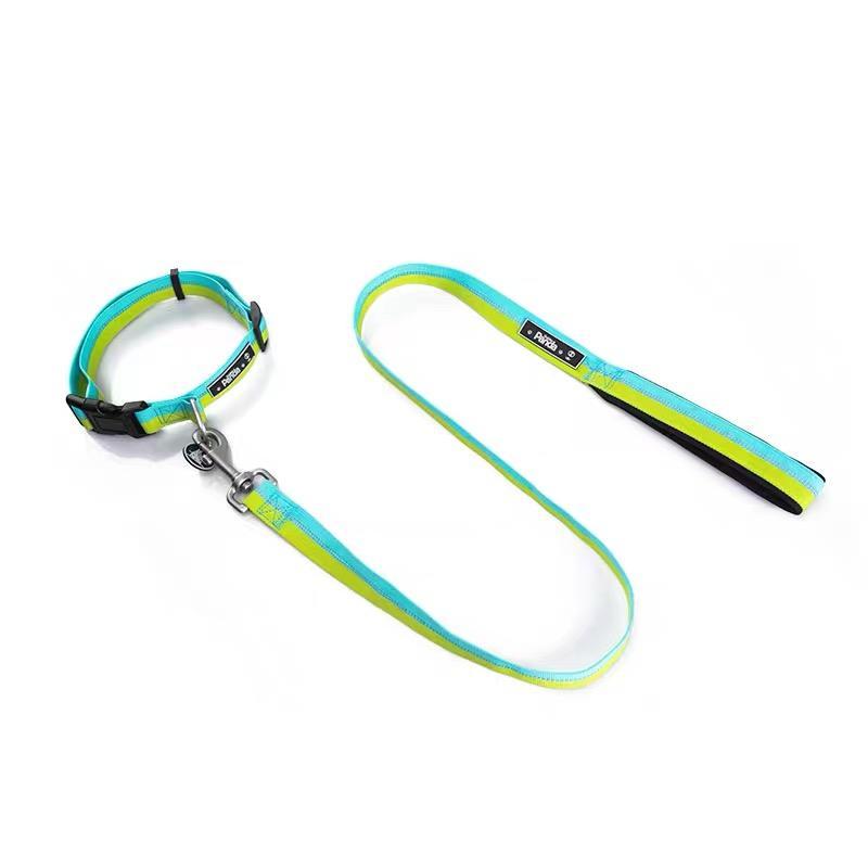 Custom Logo Nylon Pet Dog Leash With Durable Clip Dog Accessories Dog Leash