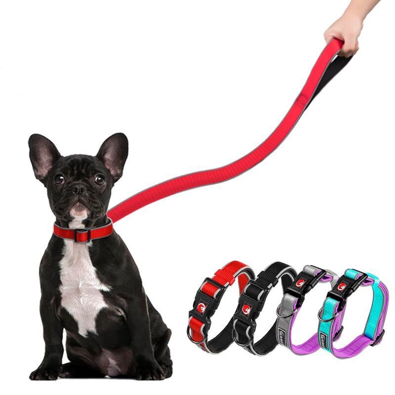 Custom Design Outdooradjustable Neoprene Padded Nylon Pet Dog Leash