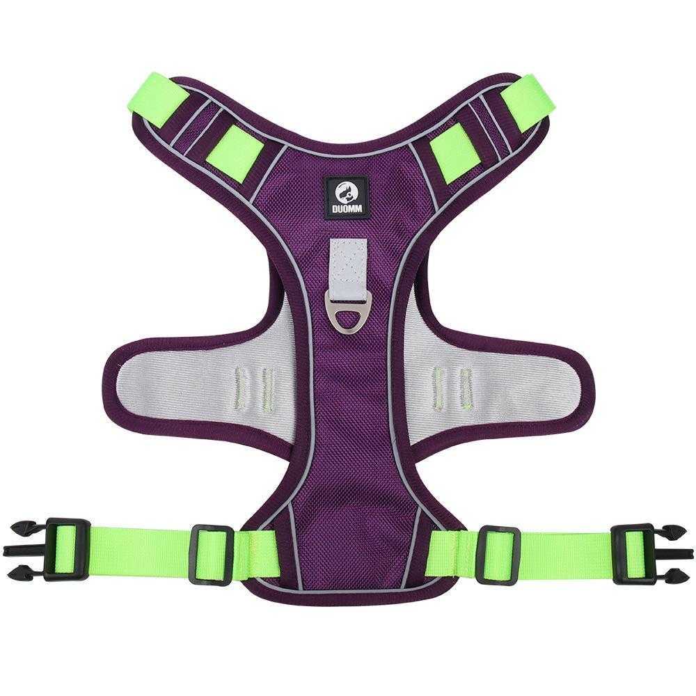 Reflective High Quality 2023 Custom Designers Pet Dog Harness Leash