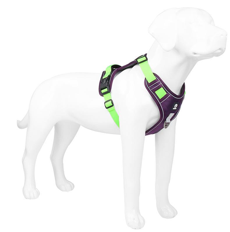 Reflective High Quality 2023 Custom Designers Pet Dog Harness Leash