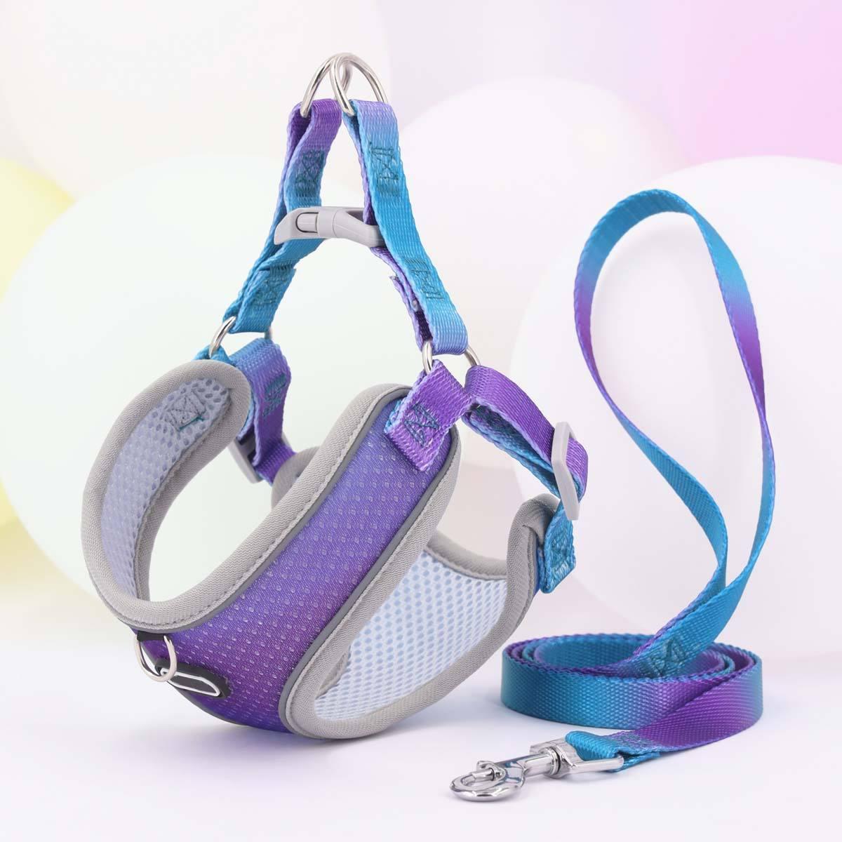 Hot Sale Outdoor Wholesale Custom Logo Private Label Personalized Dog Harness