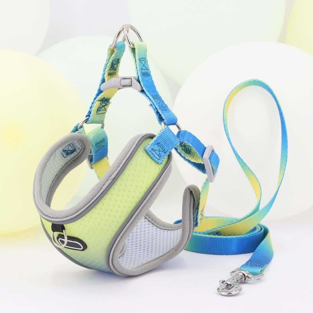 Hot Sale Outdoor Wholesale Custom Logo Private Label Personalized Dog Harness