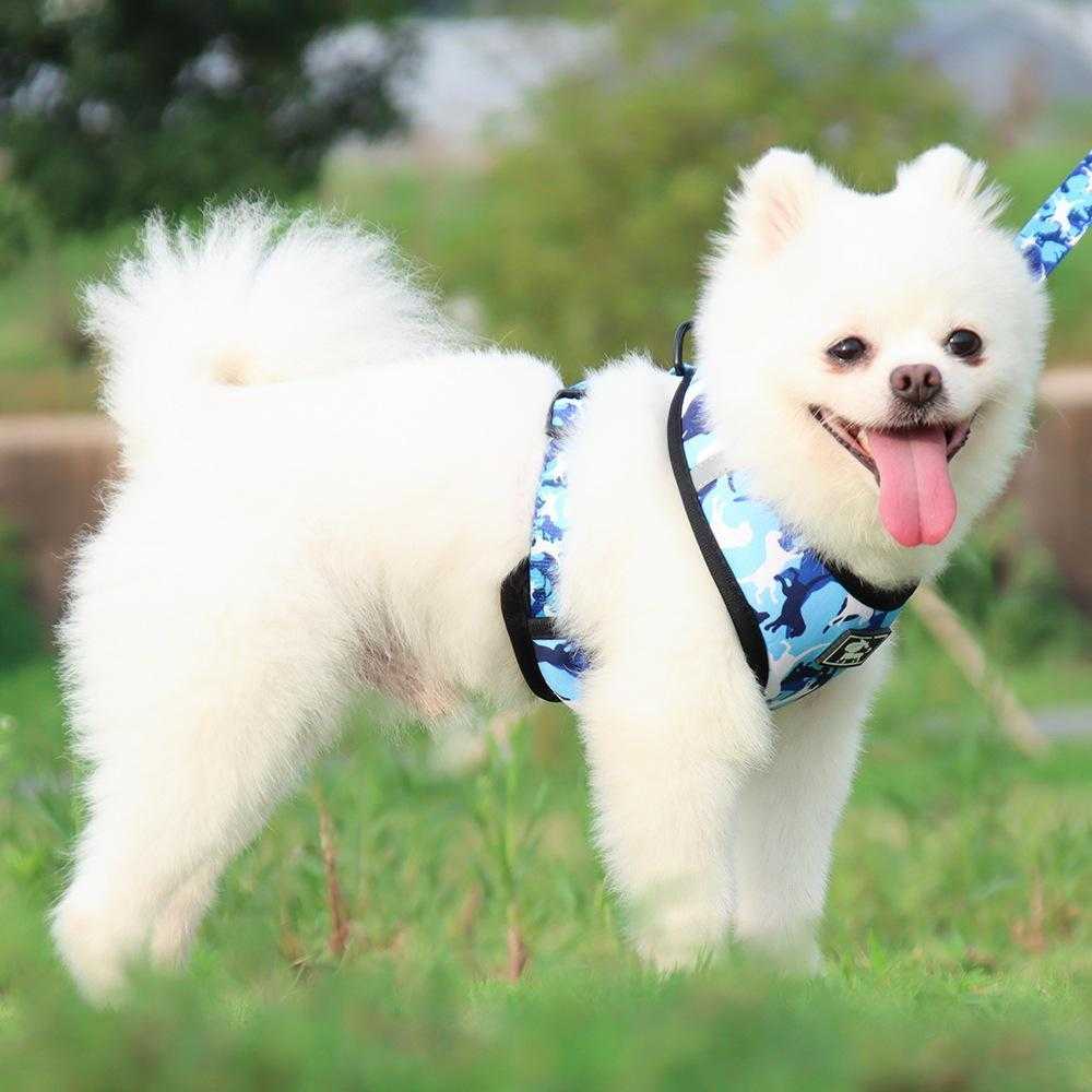 Low Moq In Stock Adjustable Dog Harness And Leash Set With Collar And Rubbish Bag From Oem Factory