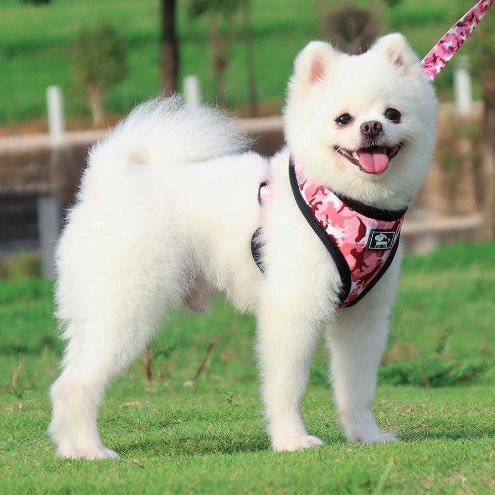 Low Moq In Stock Adjustable Dog Harness And Leash Set With Collar And Rubbish Bag From Oem Factory