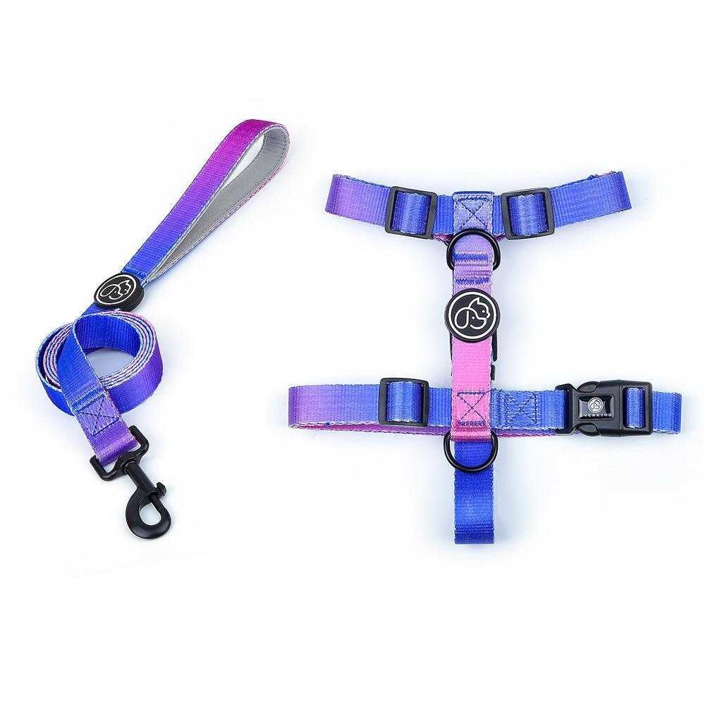 Small Dog Large Dog Walking Gradient Color Dog Chain Chest Strap Pet Supplier