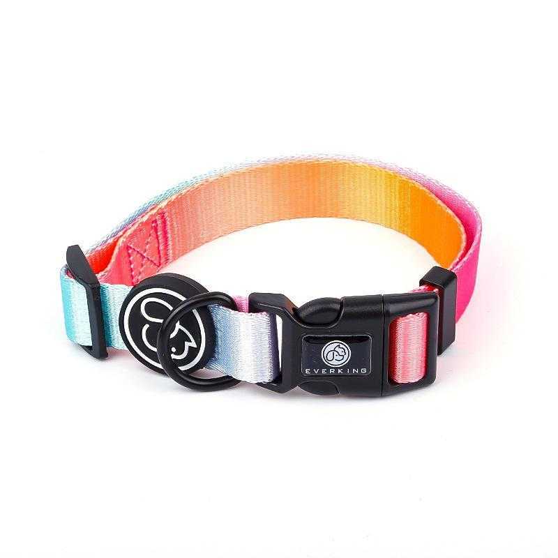 Small Dog Large Dog Walking Gradient Color Dog Chain Chest Strap Pet Supplier