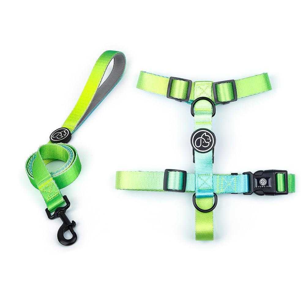 Small Dog Large Dog Walking Gradient Color Dog Chain Chest Strap Pet Supplier