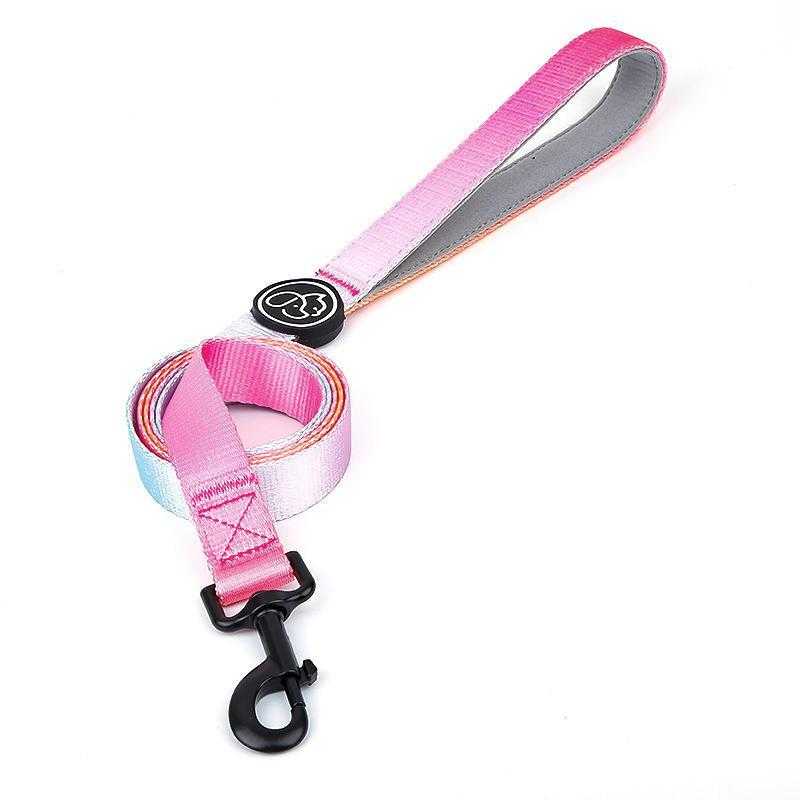 Small Dog Large Dog Walking Gradient Color Dog Chain Chest Strap Pet Supplier