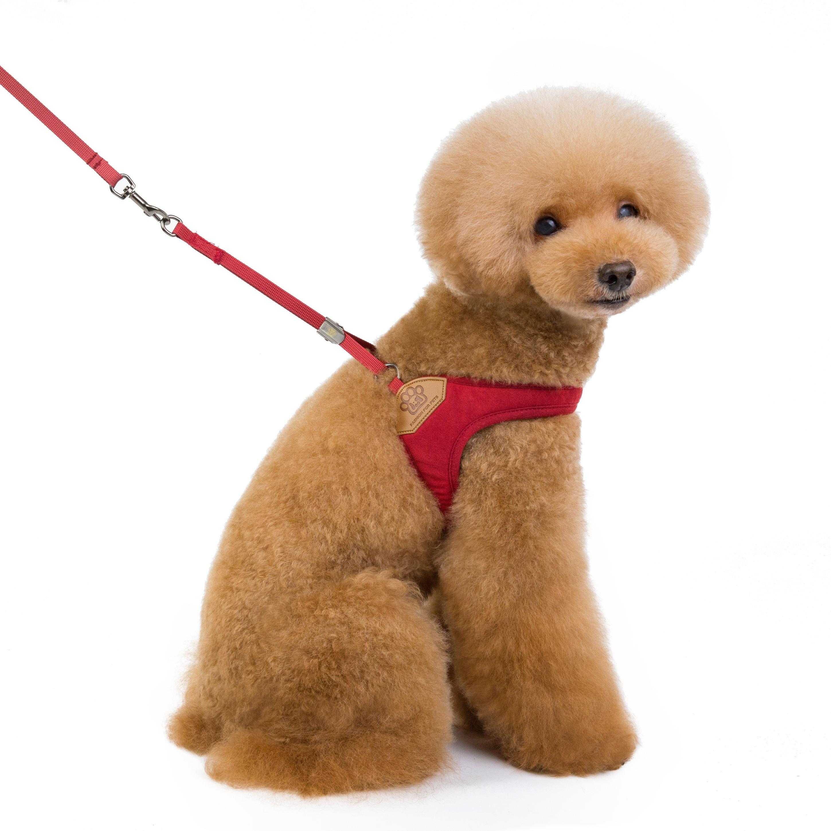 Small Designer Chest Adjustable Mesh Pet Vest Dog Harness