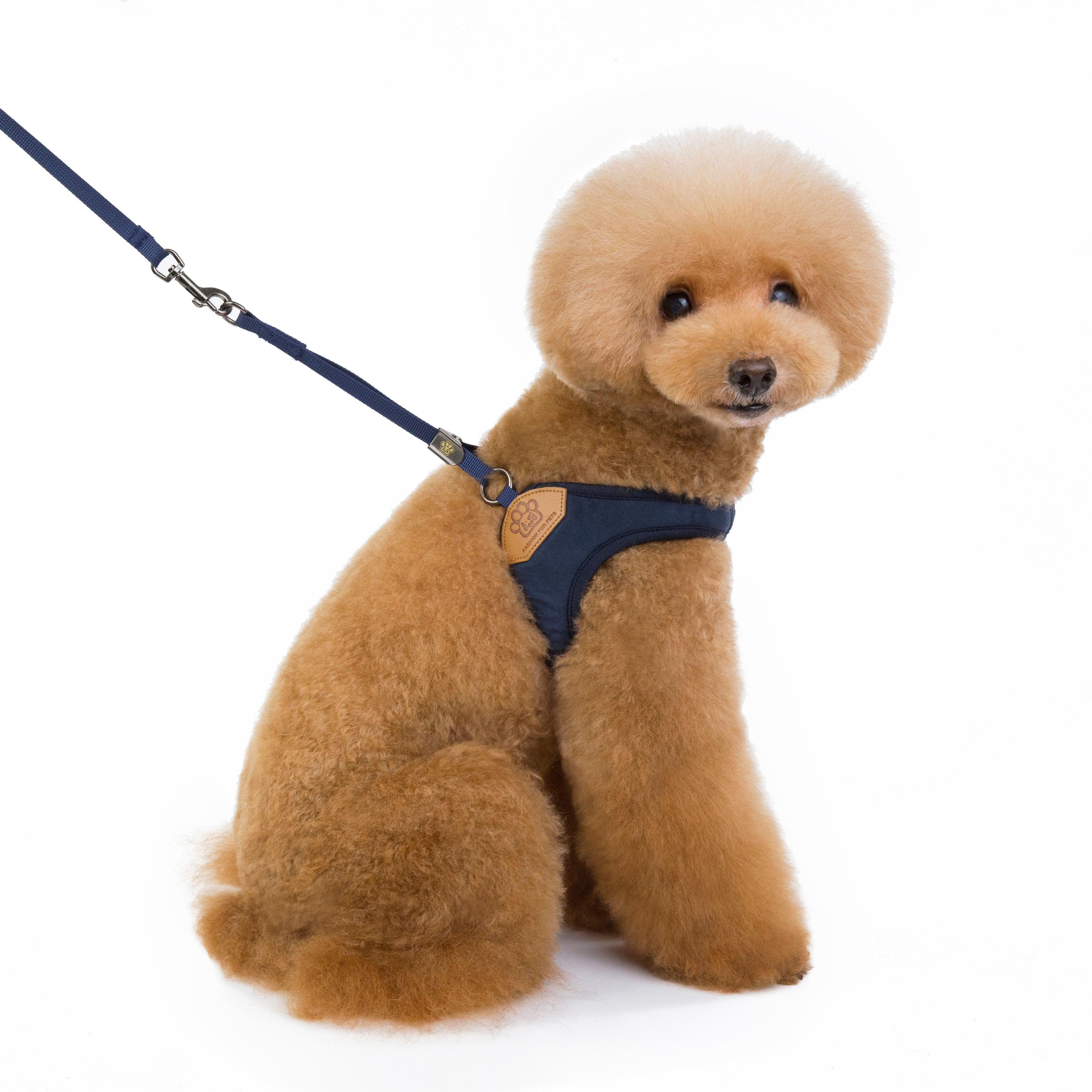 Small Designer Chest Adjustable Mesh Pet Vest Dog Harness