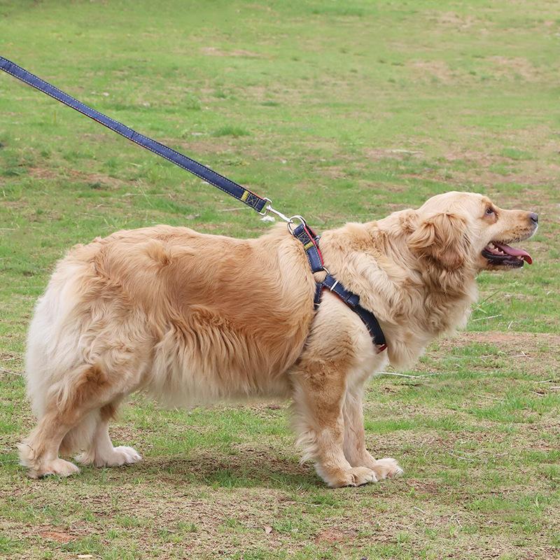 Dog Training Collar With Remote Reflective Wholesale Designer Soft Unique Dog Collar Leash
