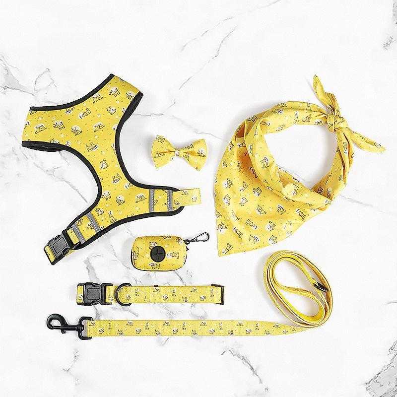 Six Piece Set Wholesale Dog Harness Set Custom From Dog Harness Manufacturers For Distributor Opportunities