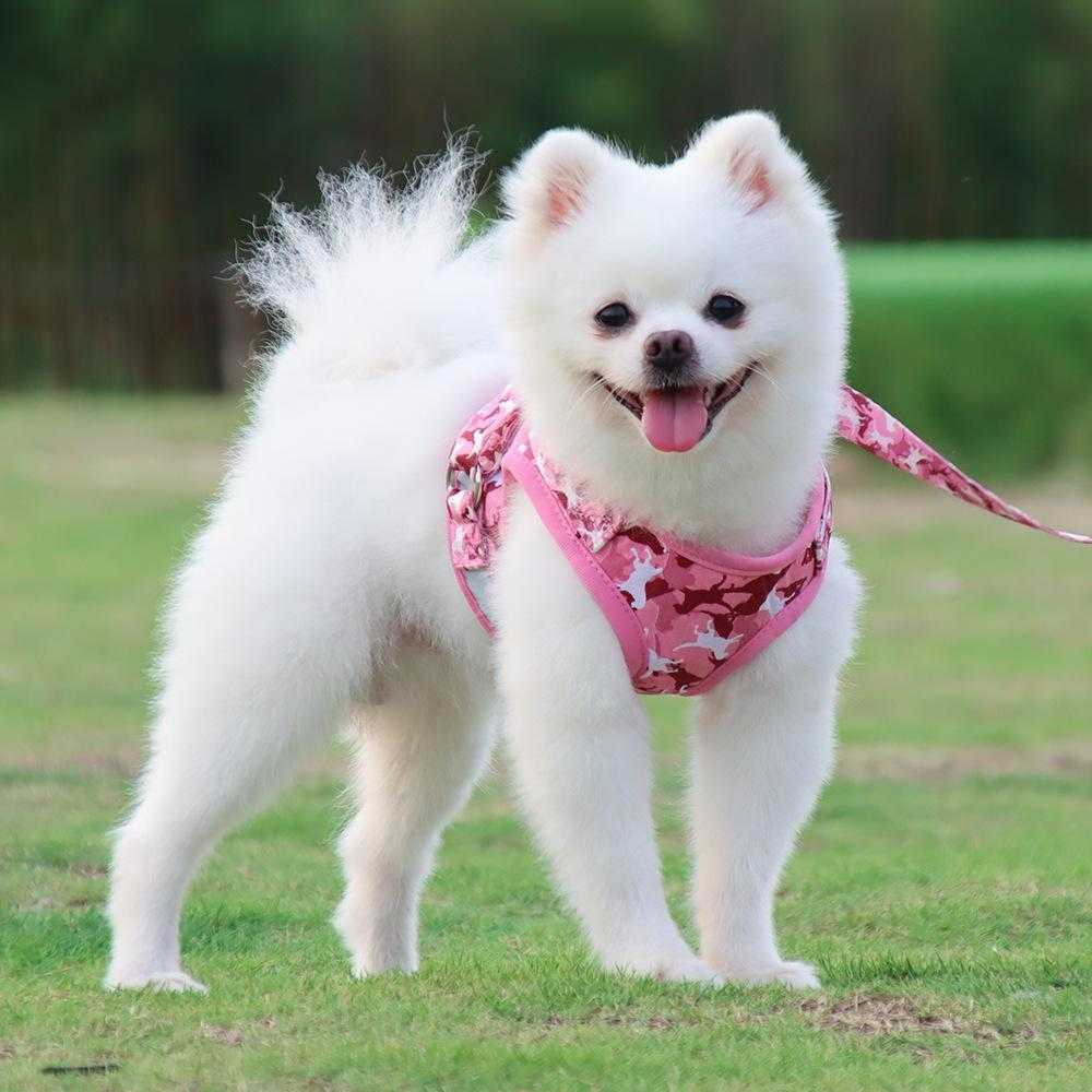 Tactical Mesh Pet Puppy Comfort Padded Vest Pet Accessories Dog Harness With Reflective Belt