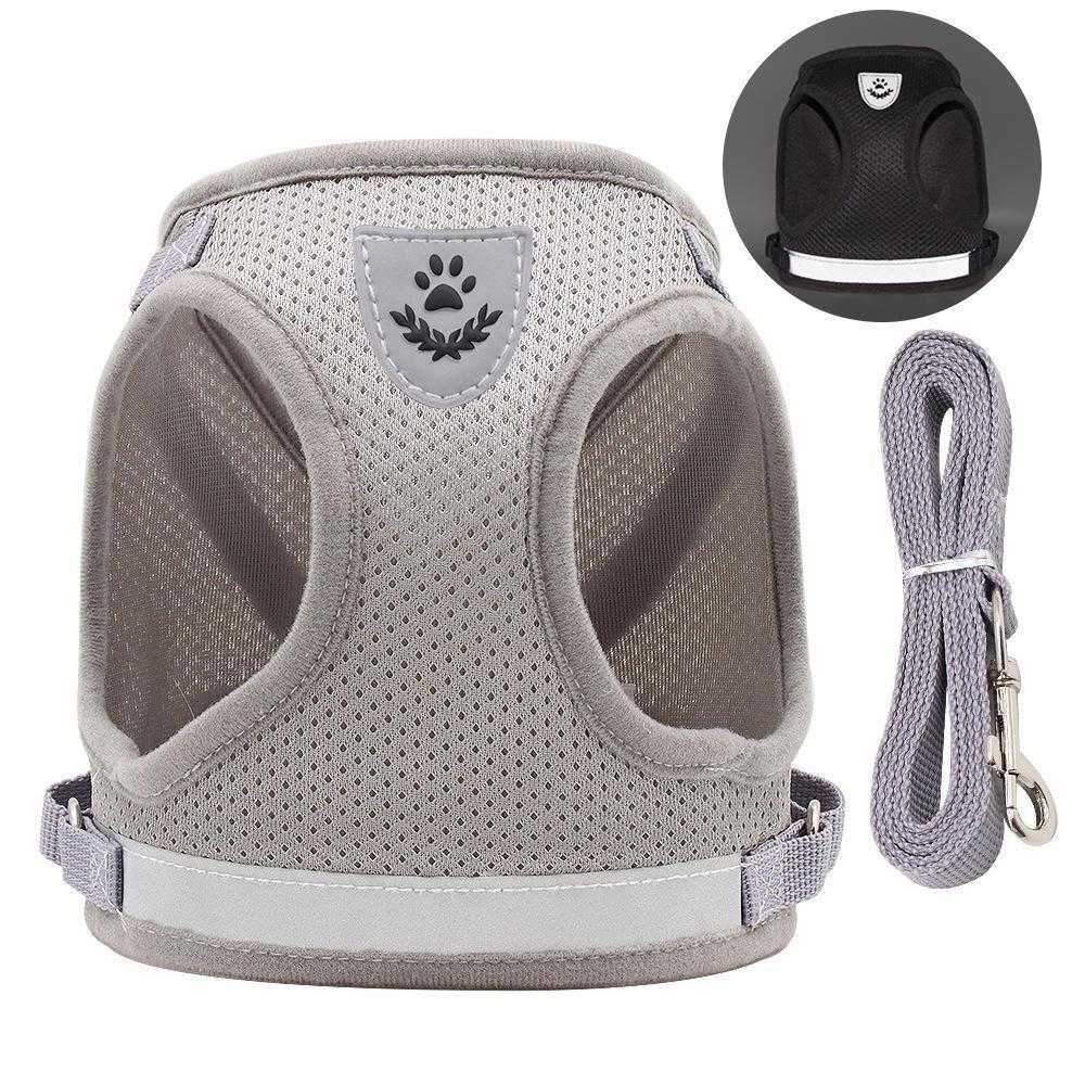 Wholesale Price Reflective Sturdy Polyester Dog Harness With Leash Selling Websites From China Factory