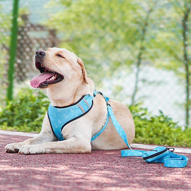Leash Harness Six-piece Set Pet Supplies Comfortable Polyester Printed Dog Chest Accessories Harness