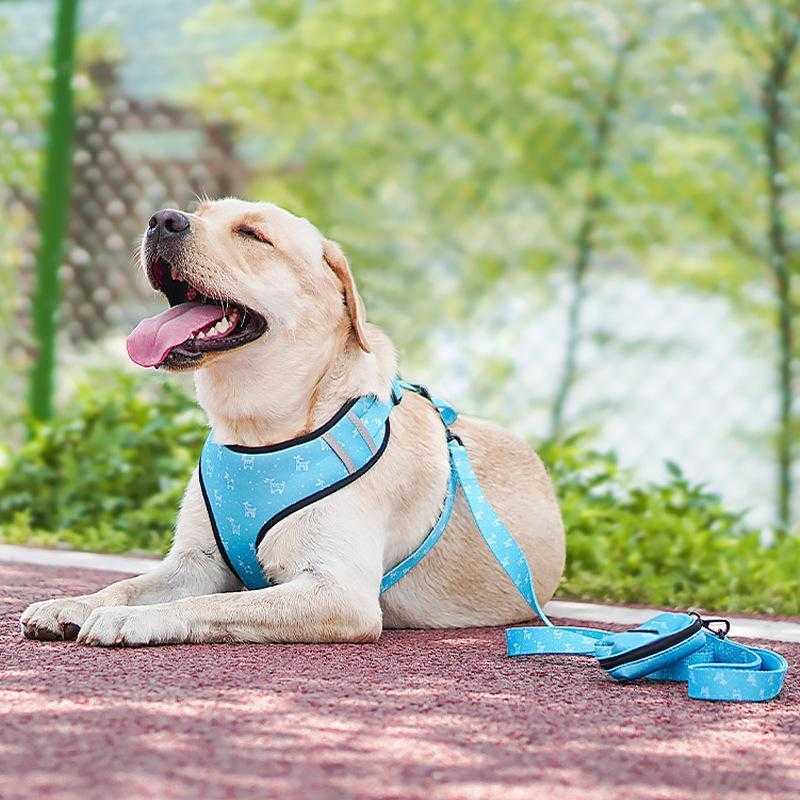 Leash Harness Six-piece Set Pet Supplies Comfortable Polyester Printed Dog Chest Accessories Harness