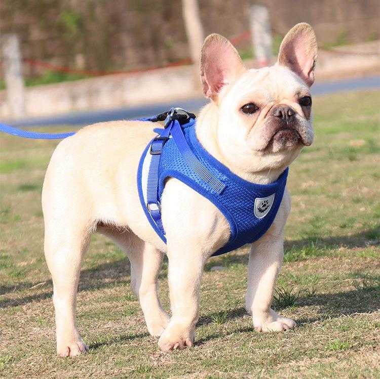 Wholesale Custom Soft Breathable Mesh Reflective Strips Pet Harness