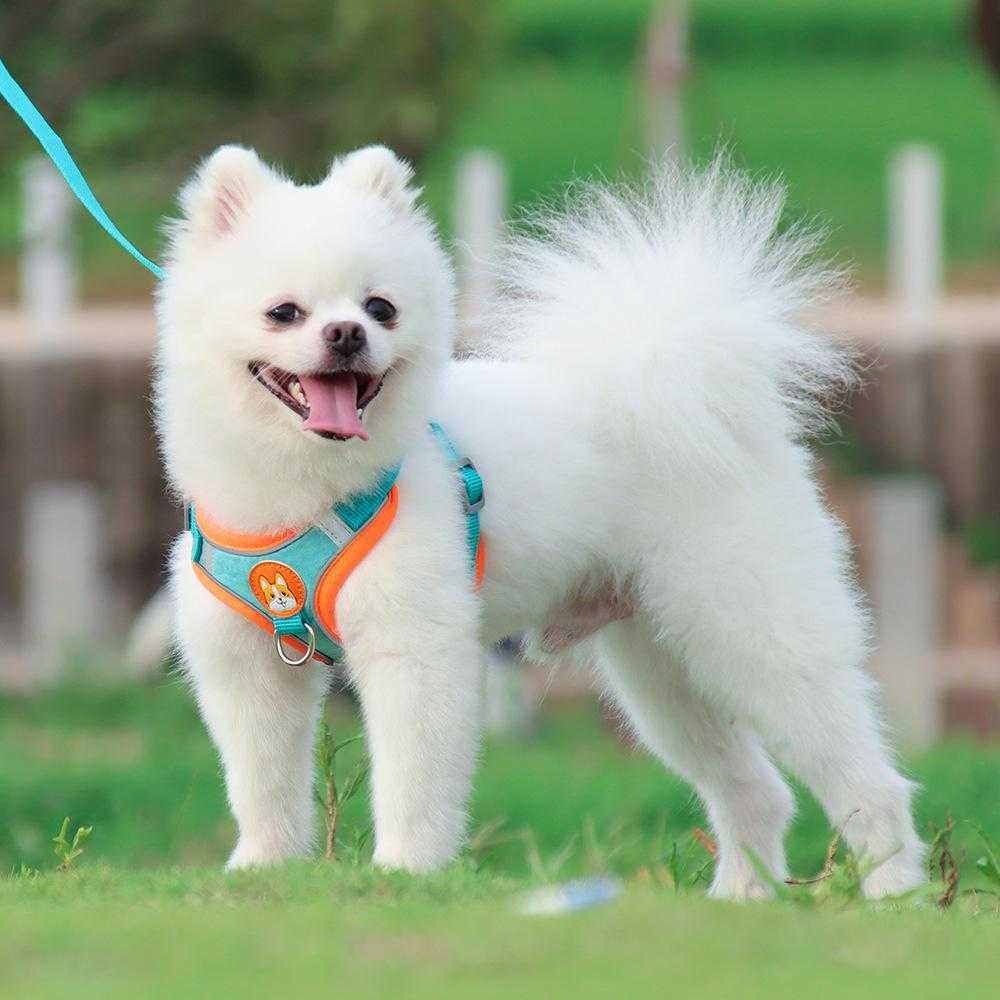 New Premium Custom Reflective Easy Wholesale Pet Accessories Dog Harness And Leash Made In China