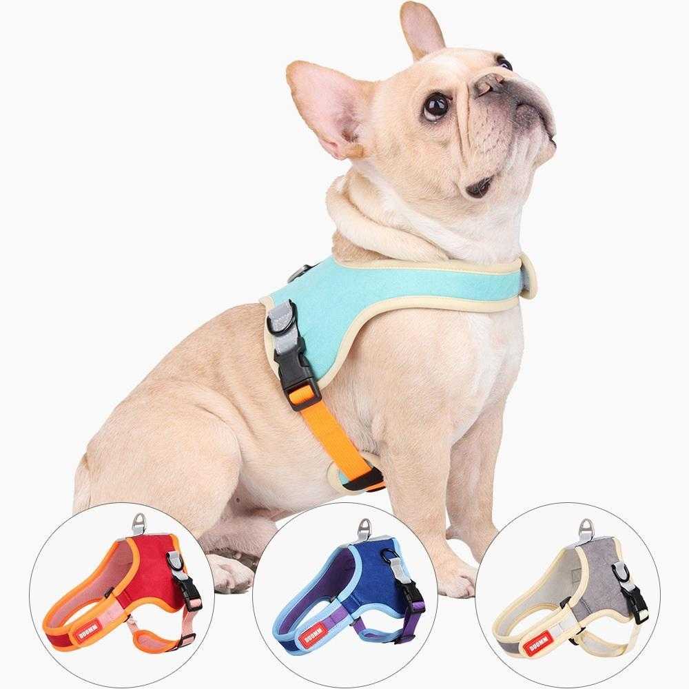Popular Luxury Designer Dog Harness For Online Shopping With Cheap Price Made In China