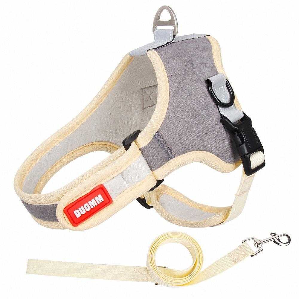 Popular Luxury Designer Dog Harness For Online Shopping With Cheap Price Made In China