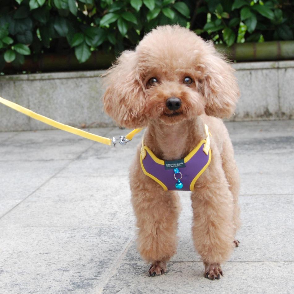 Dog Harness With Multifunction Dog Leash Soft Adjustable No Choke Escape Proof Pet Harness Vest