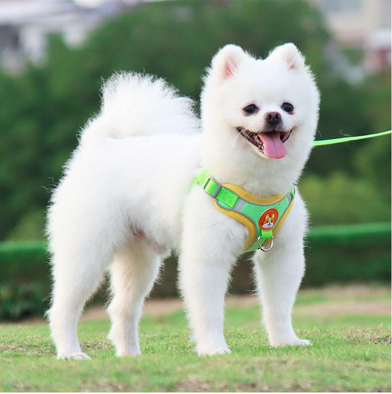 New Pet Chest Strap Vest Dog Small Dog Rope Wholesale Reflective Dog Harness With Leash