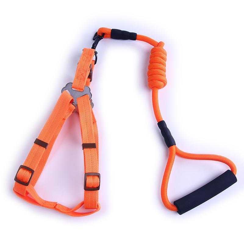 2022 Wholesale Pet Dog Harness Foam Handle Round Rope Traction Rope Pet Carrier Lead Dog Harness