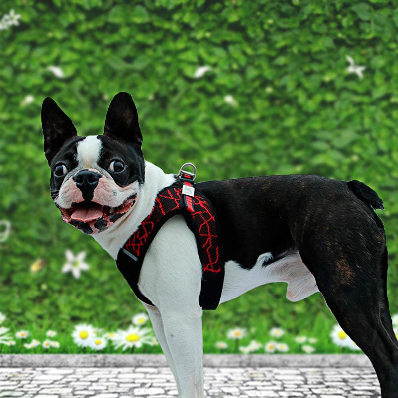 Fashionable Soft Easy Walk Adjustable Private Label High Quality Reflective Designer Mesh Custom Printed Dog Harness