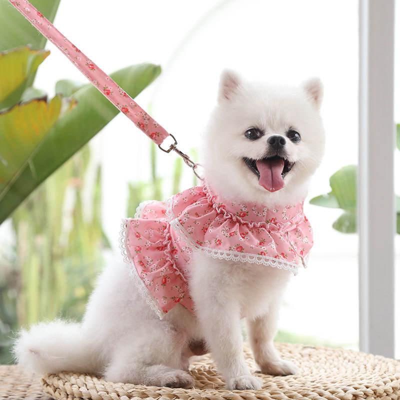 Pet Clothes Chest Strap Traction Small Floral Lace Lace Dog Leash Wholesale Dog Accessories Harness And Leash