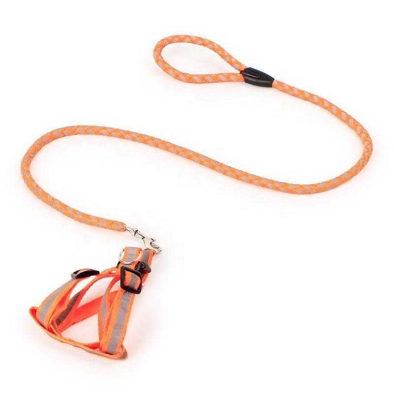 Wholesale Pets Accessories Black Dog Harness And Leash Set For Shopping Websites