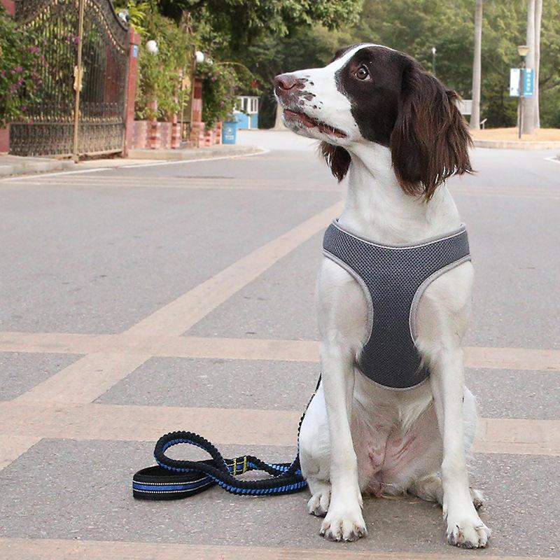 Online Wholesale Shop Soft Mesh Reflective Easy Harness Dogs From China Manufacturer