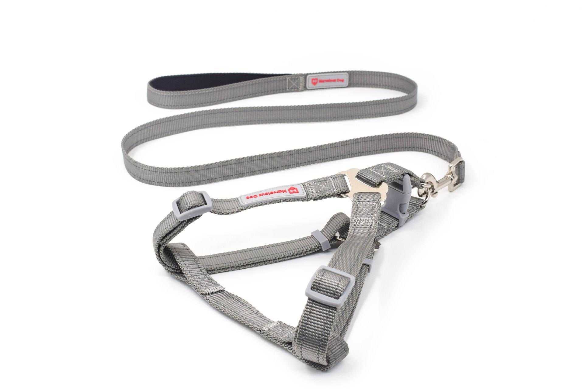 Wholesale Dog Leads And Collars Factory Direct Sell Dog Collar And Leash Set In Bulk
