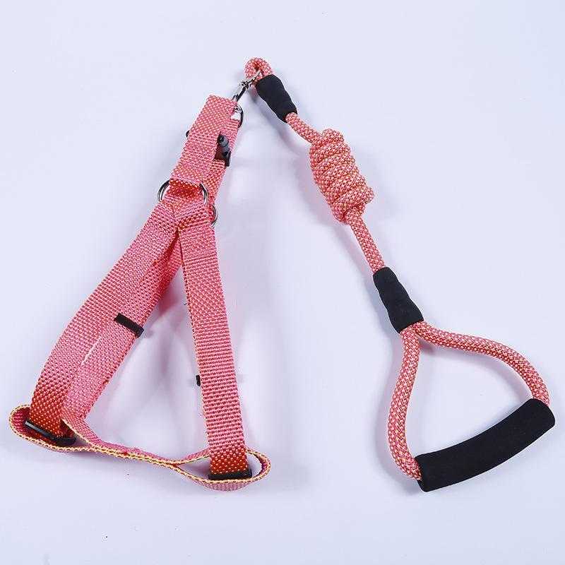 Adjustable Breathable Soft Padded Handle Leash Harness Dog Harness And Leash Set For Training