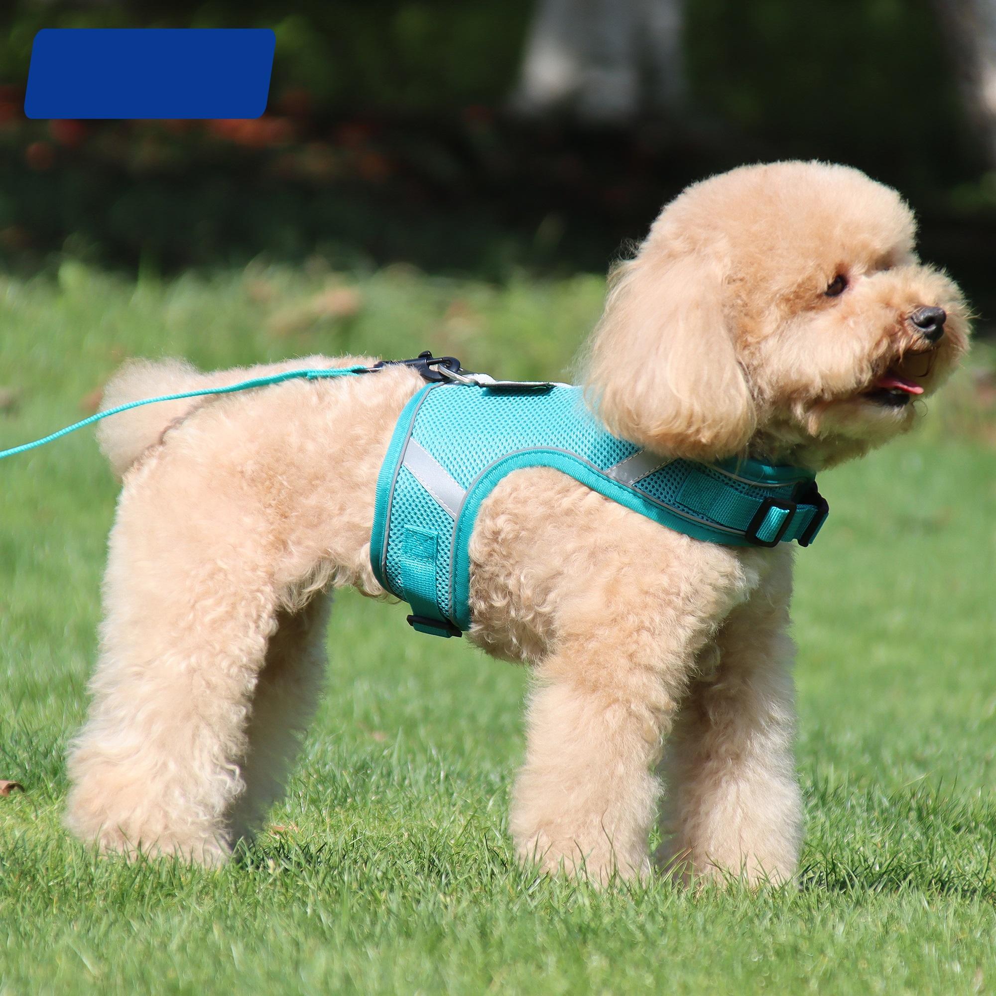 Breathable Comfortable Popular Dog Designer Reversible Dog Harness For Wholesale