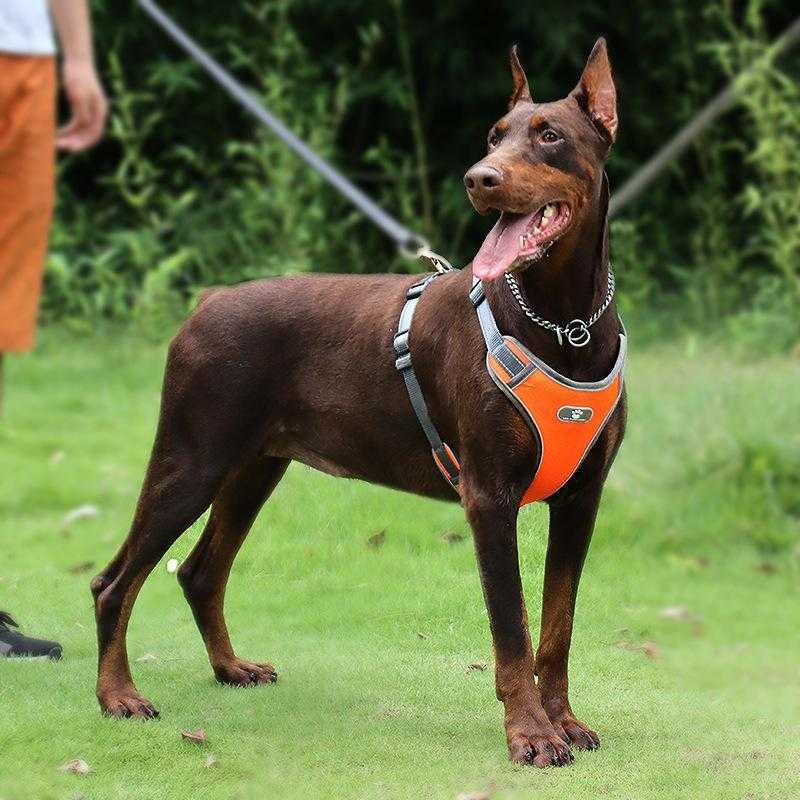 Wholesale Custom Waterproof Strong Oxford Fabric Mesh Reflective Strips Dog Harness