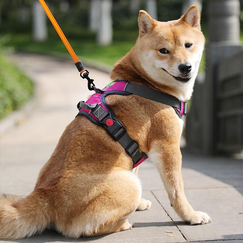 Outdoor Training Adjustable Nylon Large Reflective No Pull Pet Dog Harness