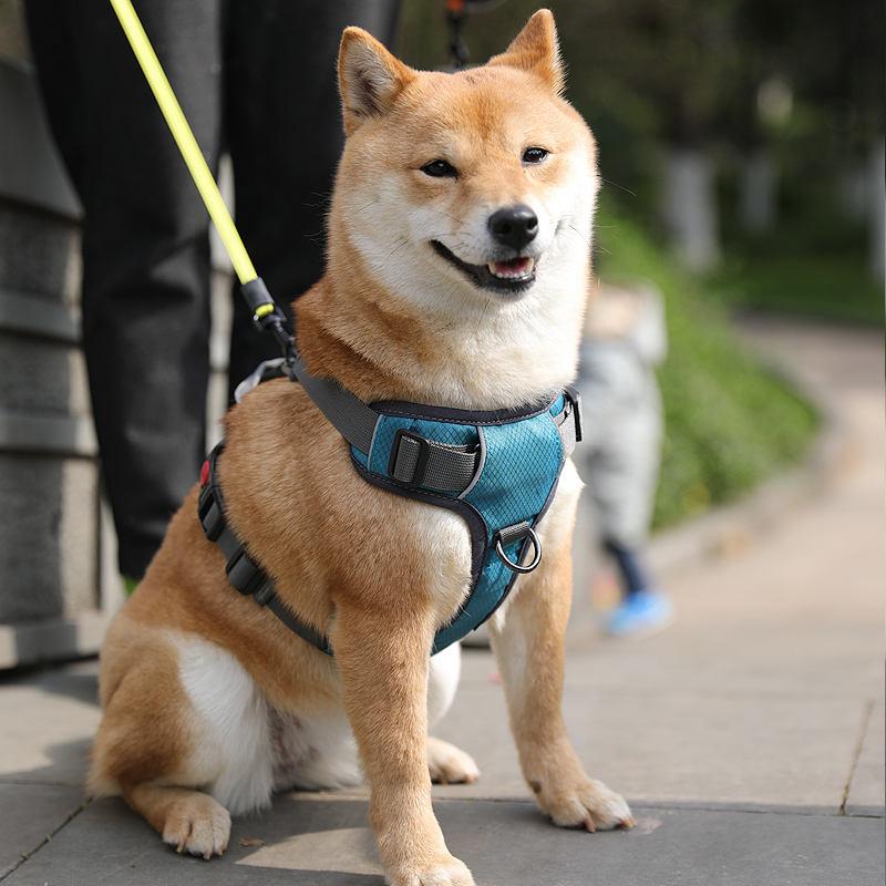 Outdoor Training Adjustable Nylon Large Reflective No Pull Pet Dog Harness