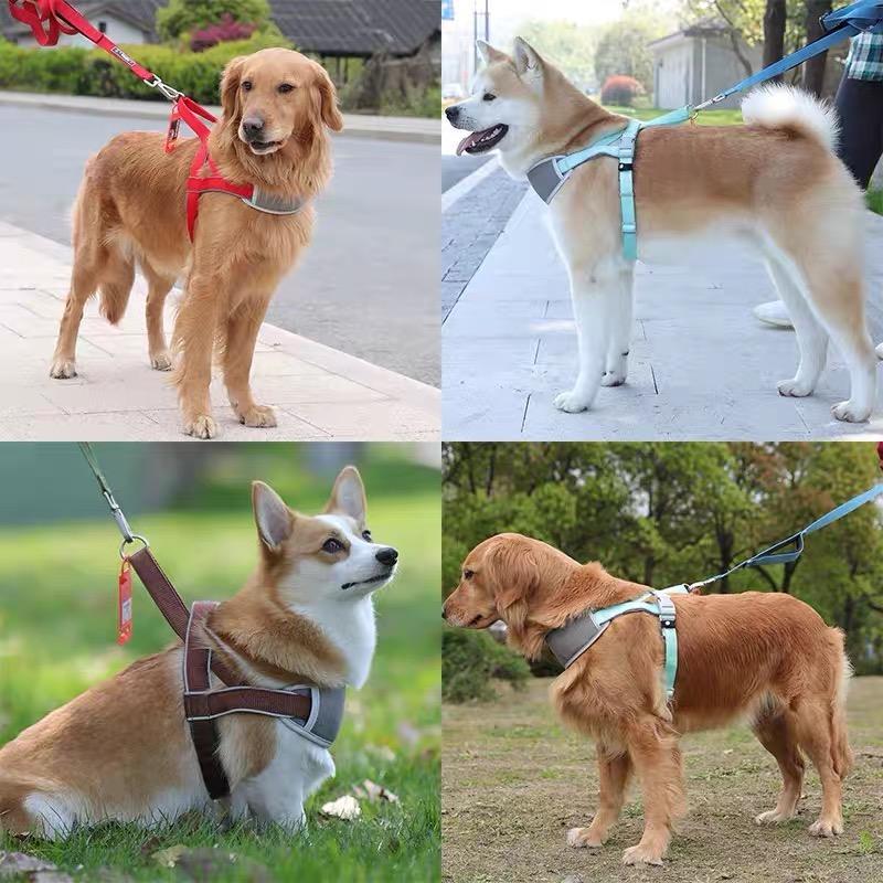 Dog Supplier Simple Nylon Dog Harness Large Medium Small Dog Harness