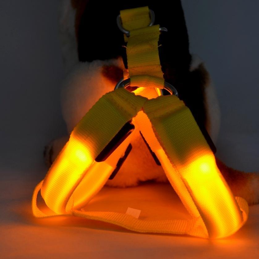 Wholesale Adjustable Custom Rechargeable Colorful Led Dog Harness