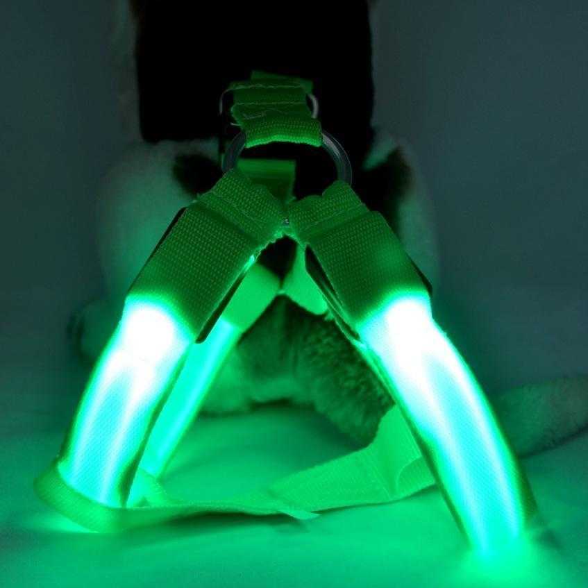 Wholesale Adjustable Custom Rechargeable Colorful Led Dog Harness