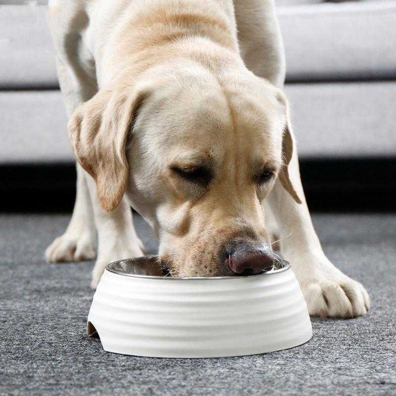 Wholesale New Style Custom Pet Dog Water Bowl No Spill Dog Food Bowl Stand Stainless Dog Bowl