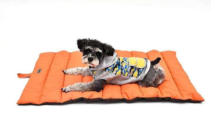 Outdoor Waterproof Dry Large Dog Foldable With Storage Bag Pet High Quality Dog Bed