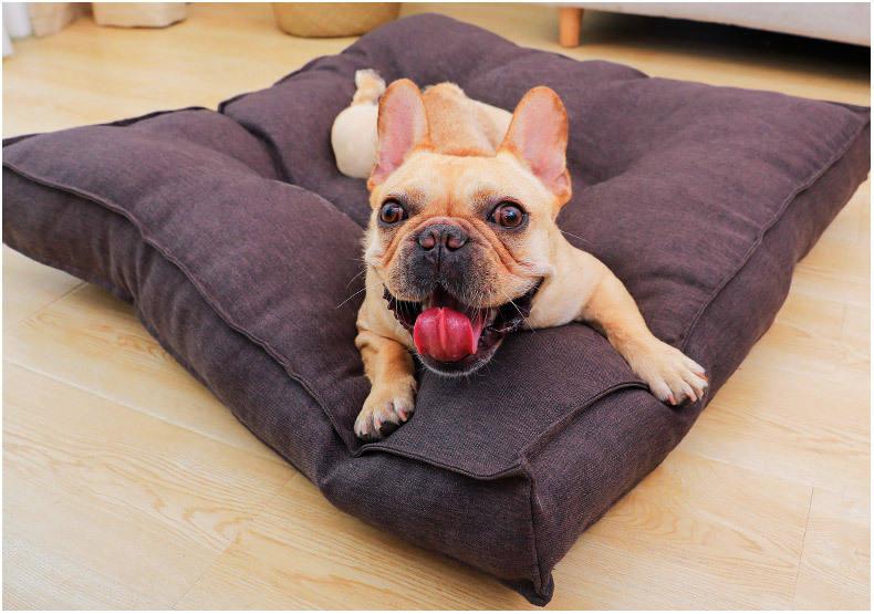 High Quality Wholesale Comfortable Pet Cushion Dog Cat Bed Luxury