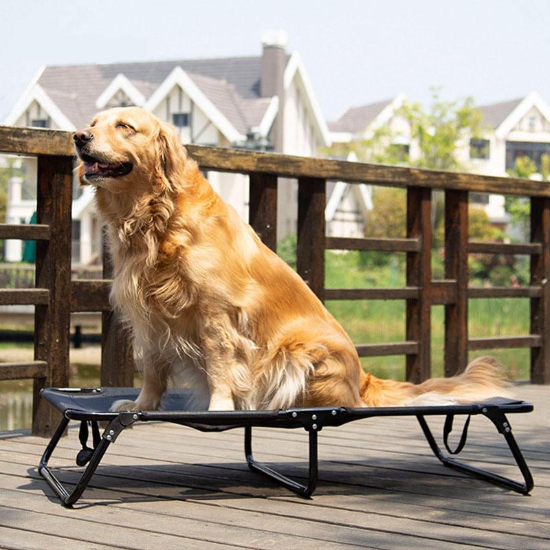 Custom Washable And Foldable Camping Travel Outdoor Pet Metal Raised Elevated Dog Bed